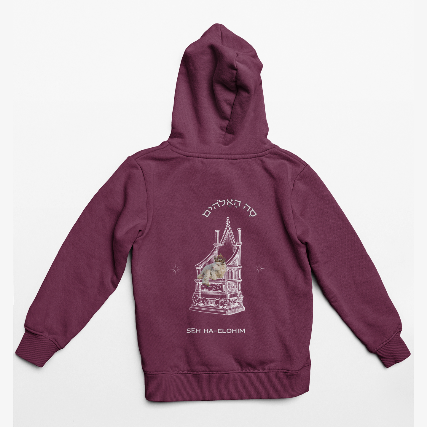 Exalted Lamb Youth Hoodie